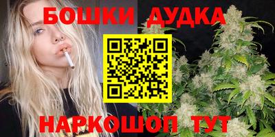 наркотики Кингисепп