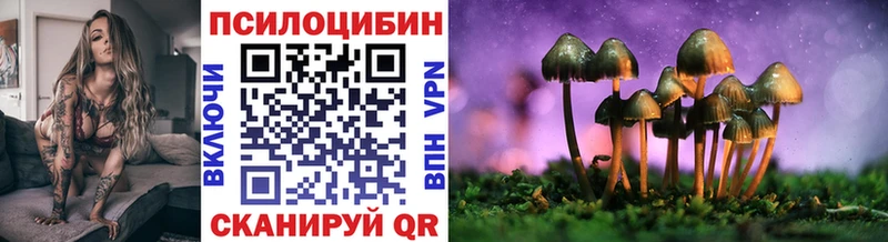 Галлюциногенные грибы Psilocybe  мега зеркало  Кудрово  купить наркоту 